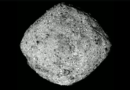 Investigaciones en un asteroide aumentan el enigma sobre el origen del psiquismo humano