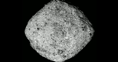 Investigaciones en un asteroide aumentan el enigma sobre el origen del psiquismo humano