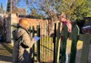 Operativo control de enfermedades en la población felina en Las Malvinas